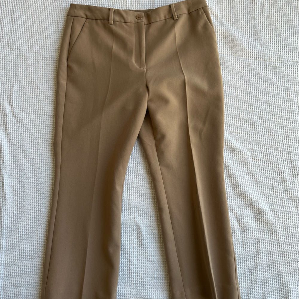 Talbots Raleigh muted acorn Straight leg  Light brown Tan pants trousers  sz 10 - Picture 9 of 11